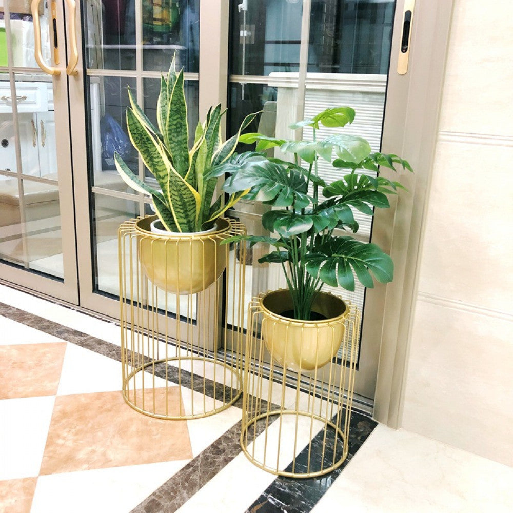 وعاء نباتات